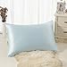 ALASKA BEAR Silk Pillowcase Hypoallergenic for Acne Prone Skin Best 100 Percent Mulberry Silk Real Cooling Pillow Case Queen Size with Zipper (1pc, Eggshell Blue)