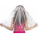 Cute Naughty Veil for Bachelorette Parties