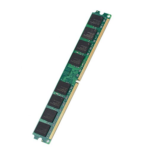 Bewinner DDR2 PC2-5300 Memory 2G 667MHz Memory Ram for DDR2 PC2-5300 Desktop Computer PC 240Pin Module Board Compatible for Intel/AMD Motherboard
