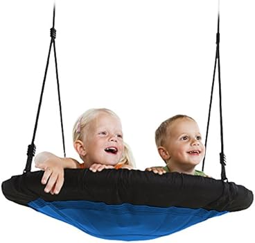 Swing-N-Slide WS 4861 Nest Swing with 