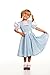 Kidcostumes Child's Dorothy Costume Dress for The Wizard of Oz, Large 10/12
