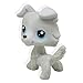 GOOD LUCK CHARM LPS Collection LPS #363 Grey White Collie Puppy Dog Figure Toys