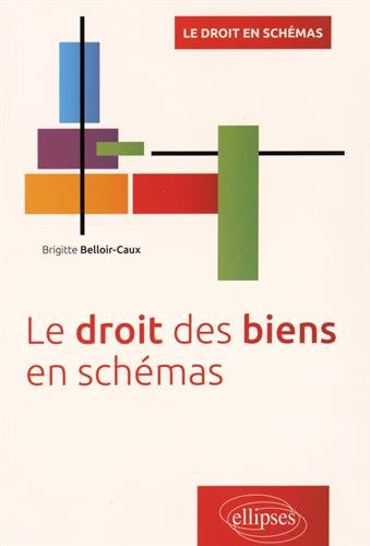 Le  droit des biens en schémas