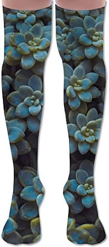 Love Succulent Unisex Fashion Socks Athletic Stockings 60cm Over The Knee Long Socks