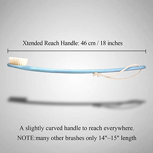 Body Bath Brush with Soft Bristles,18" Long Handle Wet Brushing Back Scrubber for Shower,Gentle Promote Healthy Glowing Skin and Beauty(Blue)