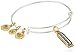 Alex and Ani Womens Strength EWB Bangle Bracelet, Two Tone, Expandable