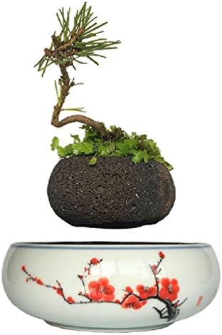 magnetic levitation potted plant floating air bonsai tree pot garden beautiful gifts for men