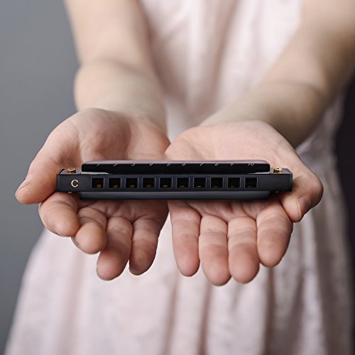 image for Diatonic Harmonica Ohuhu 10 Hole 20 Tones Blues Harmonica with Case, K