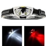 Raitron Portable Headlight 500 Lumen 6 LED Headlamp