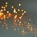 LRCXL Pack of 12 LED Moon Fairy String Lights 20 Micro Starry LEDs on Copper Wire,2 x CR2032 Batteries Included,6.5 Ft (2m) for Party DIY Wedding Centerpiece or Table Decorations (Warm White)
