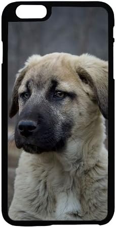 Js Berger Danatolie Chien Chiots Image Hd Housse Pour