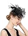 Czioe Flower Cocktail Tea Party Headwear Feather Fascinators Top Hat for Girls and Women (1-a-black)