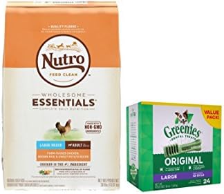 raising pot belly pigs