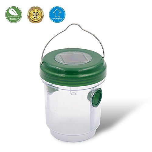 Solar Powered Wasp Trap Catcher – HappyHomey Perfect Traps for Wasps, Yellow Jackets, Bees, Hornets, UV LED Light,Solar Powerd, Effectively Lures, Retains Bees Until They Die Solar Powered Wasp Trap Catcher – HappyHomey Perfect Traps for Wasps, Yellow Jackets, Bees, Hornets, UV LED Light,Solar Powerd, Effectively Lures, Retains Bees Until They Die