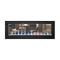 Napoleon CLEARion Built-In See-Thru Electric Fireplace (NEFBD50H), 50-Inch