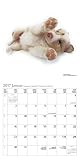 Image de The Dog 2017. Artlist Collection Broschürenkalender