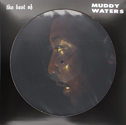 Muddy Waters - You Can