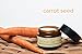 Otterganics Daydream Day Cream - organic natural anti aging daily face moisturizer