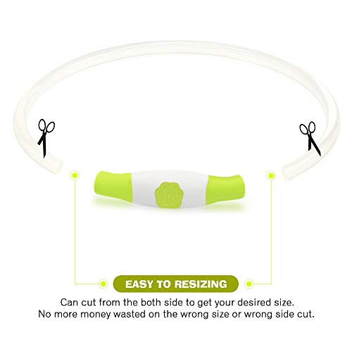 LED Dog Collar, USB Rechargeable Flashing Light Up Collar for Safety at Night, Adjustable Water Resistant Bright Lighted Collar for Small Medium Large Dogs - Thumbnail 3