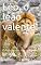 Livro Léo, o leão valente!: Histórias para contar a filhos e netos