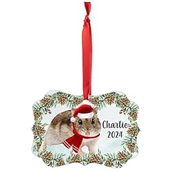 Winter White Dwarf Hamster Christmas Ornament 2024