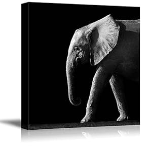 Canvas Prints Wall Art - Wild Elephant on a Black Background | Modern Wall Decor/Home Decoration Stretched Gallery Canvas Wrap Giclee Print. Ready to Hang - 12" x 12"
