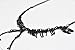 Jane Stone Dinosaur Vintage Necklace Short Collar Fashion Costume Jewelry for Women Teens (Black-L)
