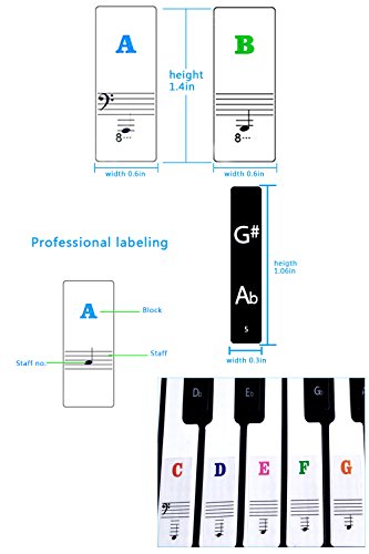 Piano Stickers for Keys,Removable Music Note Full Set Stickers and Keyboard White and Black Keys Double Layer Coating for 49/61 / 76/88 Keyboards