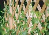 Kanta 2x Large Expanding Wooden Trellis 6Ft x 2Ft Garden Fence view 4