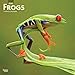 Frogs 2020 12 x 12 Inch Monthly Square Wall Calendar, Wildlife Animals by 