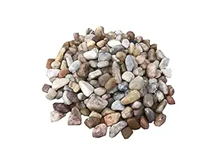 Aqua Wash? - Silica Asia?s? Aquarium Gravel Sand, Flakes Size Sand, River Pebbles for Gardening Decor Gravel, Beach Indoor, Succulent, Aquarium, Fun & Play, Crafting, 1Kg (8-14 mm)