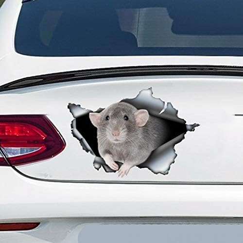 Amazon Com Dumbo Rat Car Decal Gray Dumbo Rat Car Sticker Vinyl Sticker For Cars Windows Walls Fridge Toilet And More 15 Inch Home Kitchen
