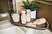Coconut Cream Bath Milk Soak. All Local Ingredients in A Glass Bottle and Made in The USA. (One Coconut Cream 10 Ounce Bottle)