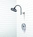 Premier 120092 Essen Single-Handle Shower Faucet, PVD Brushed Nickel