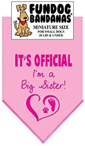 It's Official I'm a Big Sister Dog Bandana