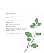 Family Celebrations: Poems, Toasts, and Traditions for Every Occasion