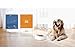 PETKIT 'FIT' Lightweight Water-resistant Smart Activity and Mood Monitoring Pet Dog Cat Activity Tracker Monitor, One Size, Gold