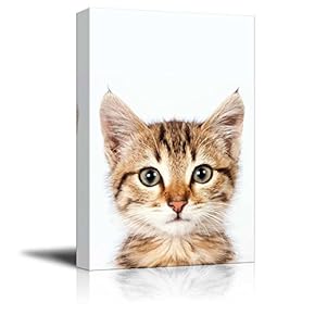 Canvas Wall Art - Cute Kitty - Giclee Print Gallery Wrap Modern Home Art Ready to Hang - 12" x 18"