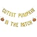 Gold Glitter Cutest Pumpkin In The Patch Banner Little Pumpkin 1st Birthday Banner Decorations for pumpkin 1st Birthday Party Decorations