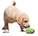 PetSafe® Busy Buddy® Squirrel Dude Puppy Toy, Medium