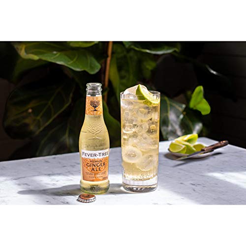 Fever Tree Ginger Ale 24 x 0,2 Liter – Bild 5