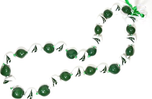 NCAA Portland State Vikings Go Nuts Kukui Nut Lei Necklace