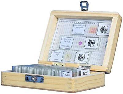 AWARDED BEST-2018 Budget Set of 25 Prepared Microscope Slides for Basic Biological Education, E S A W