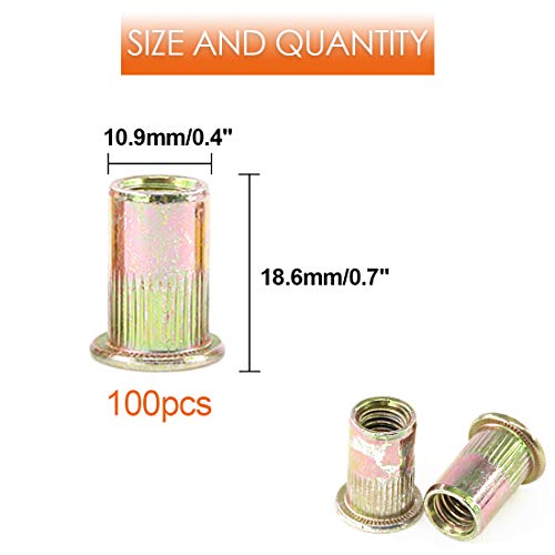 Rustark 100-Pcs 5/16''-18UNC Mixed Zinc Plated Carbon Steel Rivet Nut Flat Head Insert Nutsert Assor - //medicalbooks.filipinodoctors.org