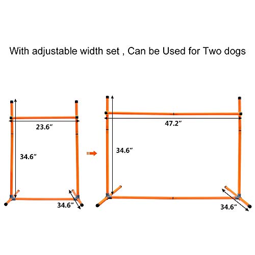 Dog Agility Training Kit – Includes Tunnel, Jump Hurdles, Weave Poles, Pause Box & Carry Bag