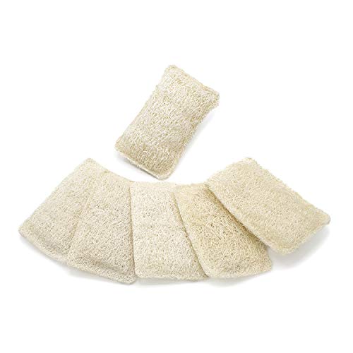 FAAY Eco Friendly Sponges for Dishes, MultiPurpose NonScratch Loofah