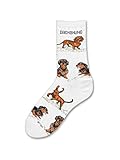 For Bare Feet Dachshund Large Print Pose Medium