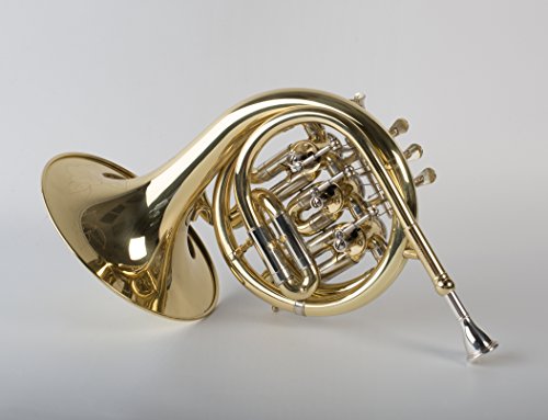 Tempest Agility Winds Mini Pocket French Horn in Bb 3 Rotary Valves Engraved Lacquered Brass with Case and Mouthpiece 5-Year Warranty