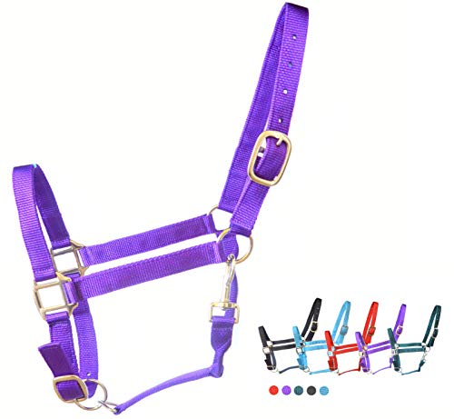 Westride Nylon Horse Halters (Purple, Full)