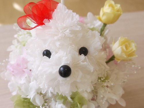 配送員設置送料無料 真っ白な犬君 プリザーブドでできた犬くん ぷりもこちゃん プリザーブドフラワー B002hw3jdo 残りわずか Www Epicerielideal Com 配送員設置送料無料 真っ白な犬君 プリザーブドでできた犬くん ぷりもこちゃん プリザーブドフラワー B002hw3jdo 残りわずか Www Epicerielideal Com